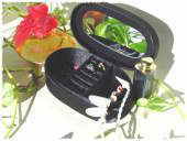 �ی`�����O�P�[�X�B�w�ւ��T�������ă~���[���傫���Ȃ��Ă܂��B�I�X�X���̎G�݂ł��B