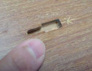 ����̍������݂悤�̌��B