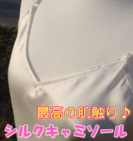 �v�킸�����Ƃ肷�锧�G��@�V���N�̃L���~�\�[���@�h�B��