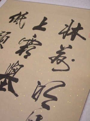 �����l�����Ƃɂ�銿���@�Ö�v�@���������̂ł��ˁB�@�h�B���I���W�i���@���A�����̍������M�|����