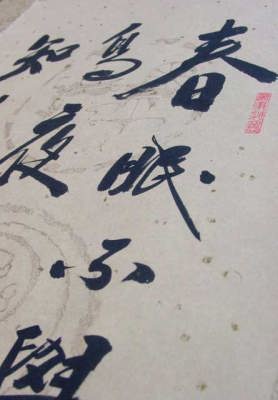 �t���ł��o�����ŗL���Ȋ����ł��B�����@�t�Łi�Ѝ_�R�j�@���̍����|�����i���M�j�@�`���������Y�[���ŎB�e���܂����B���������̂ł��ˁB�@�h�B���I���W�i���@���A�����̍������M�|����