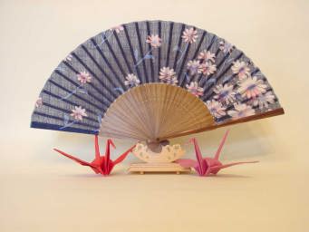 ���ȋM���ɍœK�ł́H�R�X���X��