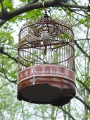 �����̘V�l�͒��������̂���D���B�ِ����ł��������܂����B�h�B�ʐ^�ف@�o�g�n�s�n�@�����@�h�B���@�X���@�L�����C