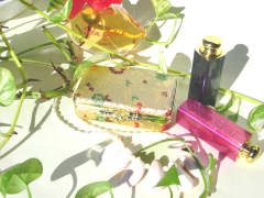 ���[�W���P�[�X�@�S�[���h