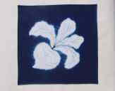 �A�E�g�h�A�ɍœK�B�@���X�ł͂�����ƌ������Ȃ����A���̂̃n���J�`�ł��B