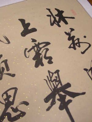 �����@�Ö�v�@�����@�����l�����Ƃɂ����M�|�����@�㕔�g��ʐ^�B�@�h�B���I���W�i���@���A�����̍������M�|����