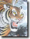 ���������|�������X�@�h�B�R���� �����̍����|���������荠���i�ł��񋟒v���܂��I