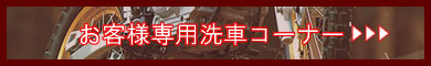 qlpԃR[i[