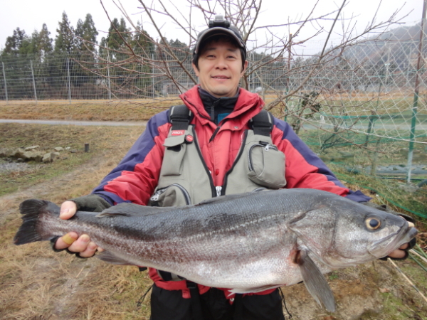 蘇州屋店長 キャメイ スズキ釣りにハマっています。 たまに大漁だったり、大物を釣ったときなどは 「やった!最高!オレは生きてるぞ!!〜〜」 って感じで無上のヨロコビを感じます。 ちょっと単純かもしれないですが・・・。 やっぱり、オトコの狩猟本能がそう感じさせるのでしょうか?? 男性なら、この気持ちわかってもらえますよね!??