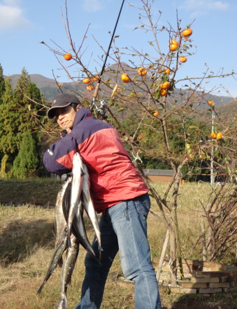 こんな大きな魚が陸から沢山釣れるんです。やめられませーん♪