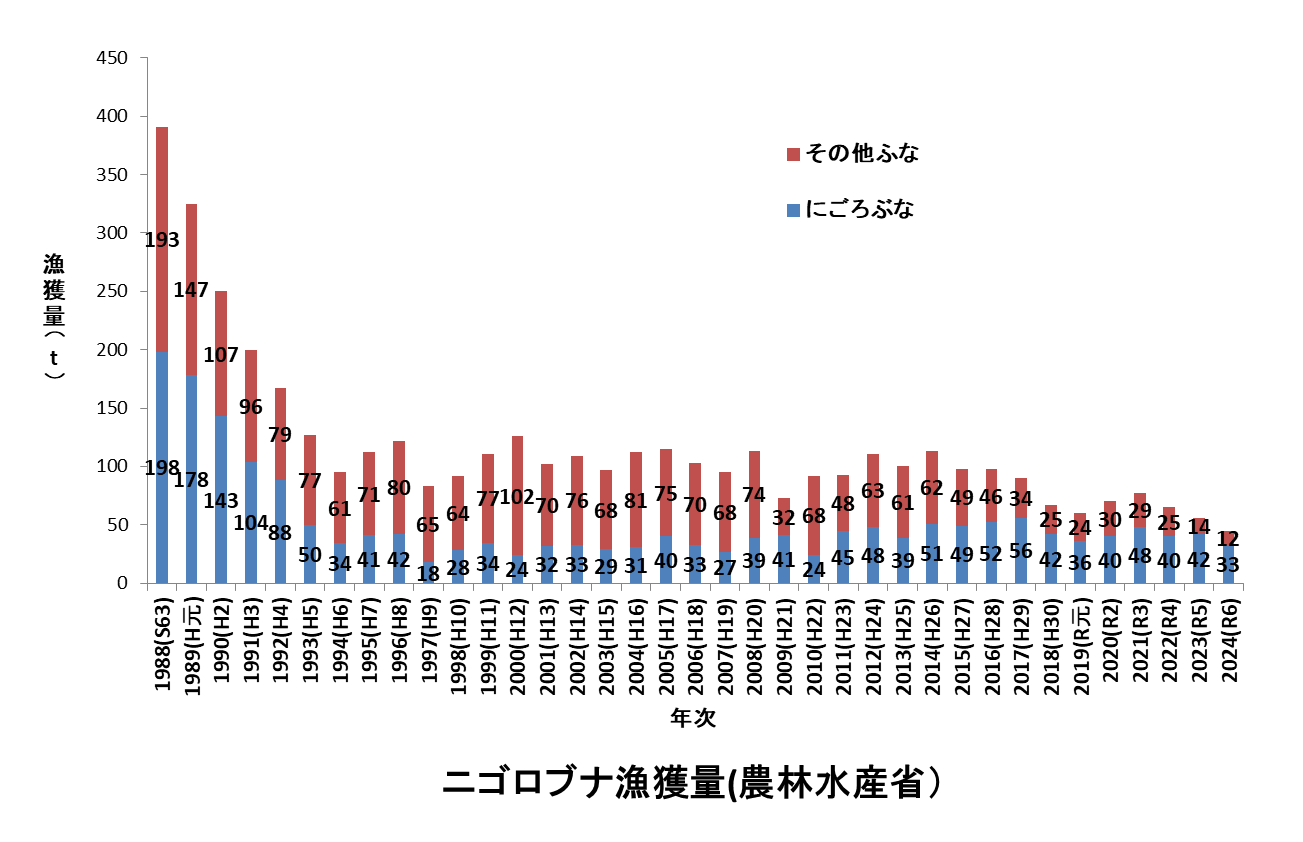 ニゴロブナ漁獲量