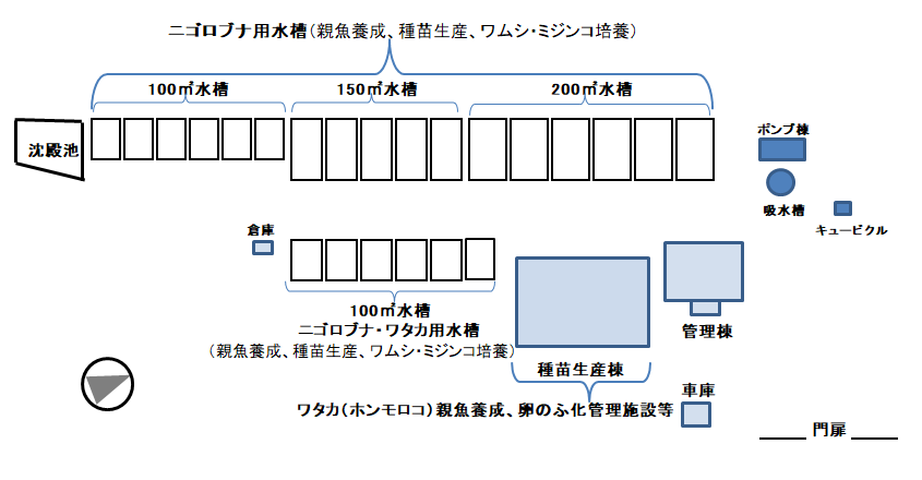 琵琶湖栽培漁業センター施設配置図