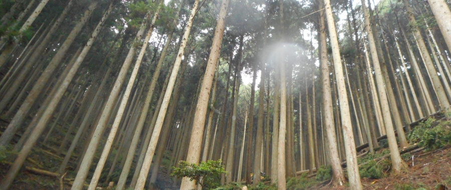 dscn1280.jpg