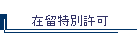 �ݗ����ʋ���